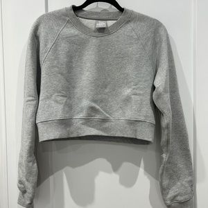 Aritzia TNA Cozy Fleece Cropped Raglan Sweatshirt